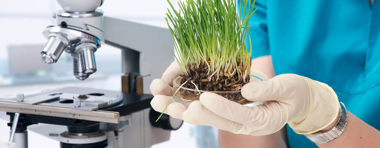 Life Sciences & Pharmaceuticals Industry Brands Security Services